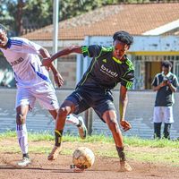 shatire_3