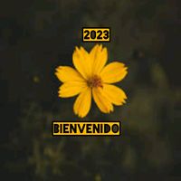 user_frases2000