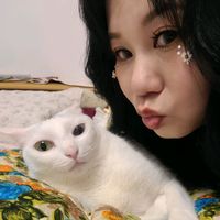 piggy20642001