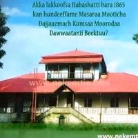 temesgenmiresa