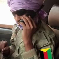 الصوت الأصلي