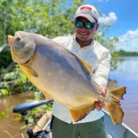 original sound - wellingtonpesca