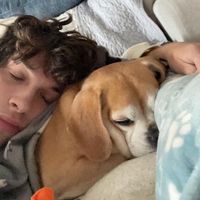 original sound - brii