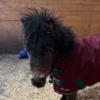 I think of you the whole time by Tom siletto