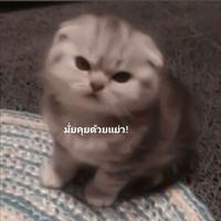 on_thefeeling