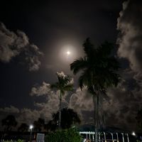 exploreessequibocoast