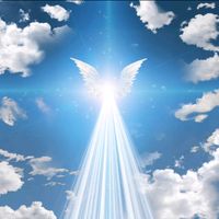 mihijomedianomiangel