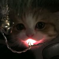 оригинальный звук