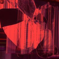 The Night Is Still Young