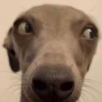 I LOVE THE NIFTY COSPLAYS