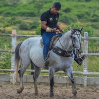 jsoliveira1985