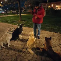 original sound - lucillegolden3012