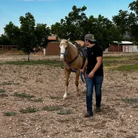 original sound - cano_araujo18