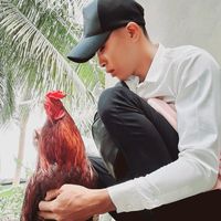 id6215042002
