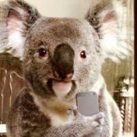 user6823023196313