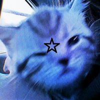 estrelinhabieber