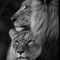 mensagen_amor_vida