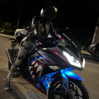 brisseydapesantez29