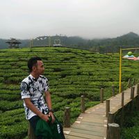 suara asli - user226