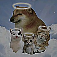 raimbow_1234