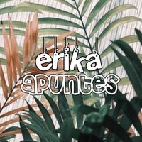 erika..apuntes