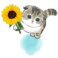 original sound - nakatsuu💋