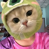 user5vqtcupbpd