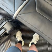 kingzofkicks