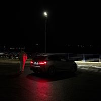 le_t.31