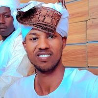 zool_dolar_971