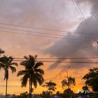 alisson_178_23