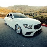 bagged.rex