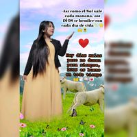 anny.rcr1
