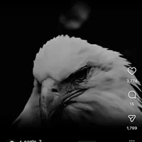 original sound - funny_queen200