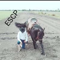 escasper6137650739732