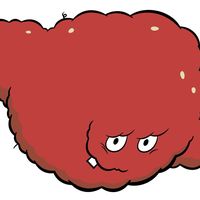 meatwad223