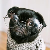 vulollc