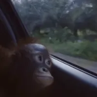 original sound - lyricalmonkeys