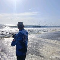 dadchfishing