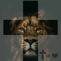 original sound - motivando111