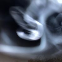 yung_dna