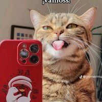 gatitoa_babys
