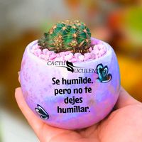alessandralopez3467