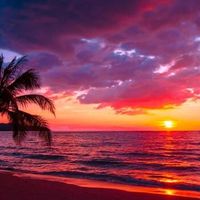 frases_para_dedicar1_