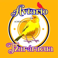 original sound - aviariotzararacua