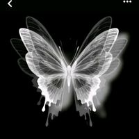 original sound - igtaf7