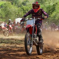 pedroneto288