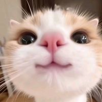 hugg7fi776644