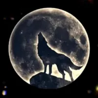 original sound - user85090048