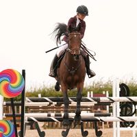 ellis.smith.equestrian